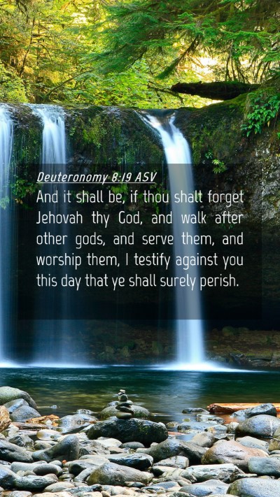 Picture 04 - Deuteronomy 8:19 ASV Mobile Phone Wallpaper - And it shall be, if thou shalt forget Jehovah thy - Mobile Bible Verse Wallpaper