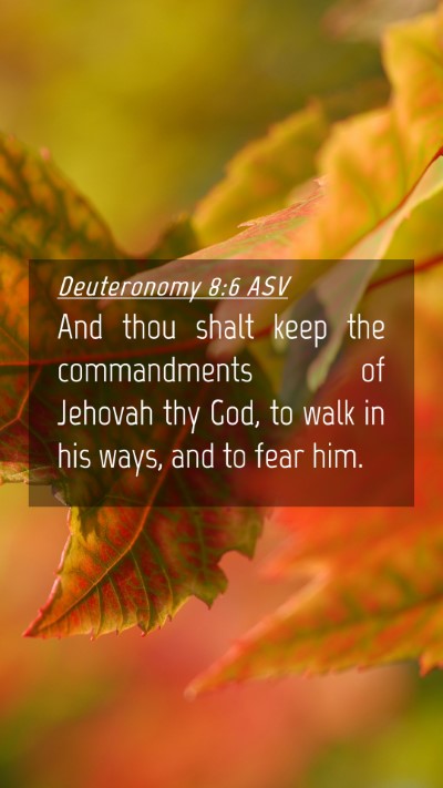 Picture 04 - Deuteronomy 8:6 ASV Mobile Phone Wallpaper - And thou shalt keep the commandments of Jehovah - Mobile Bible Verse Wallpaper