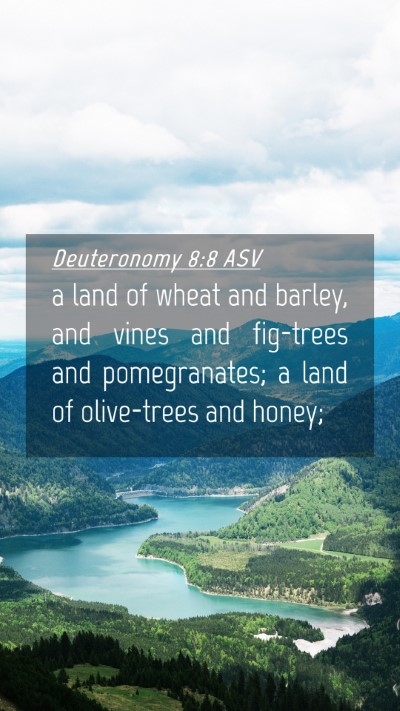 Picture 04 - Deuteronomy 8:8 ASV Mobile Phone Wallpaper - a land of wheat and barley, and vines and - Mobile Bible Verse Wallpaper