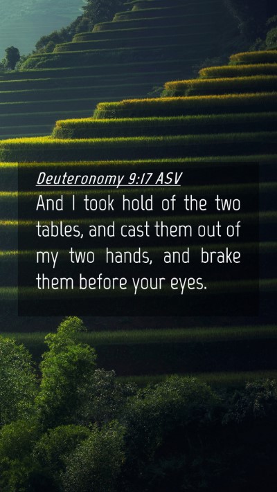 Picture 04 - Deuteronomy 9:17 ASV Mobile Phone Wallpaper - And I took hold of the two tables, and cast them - Mobile Bible Verse Wallpaper