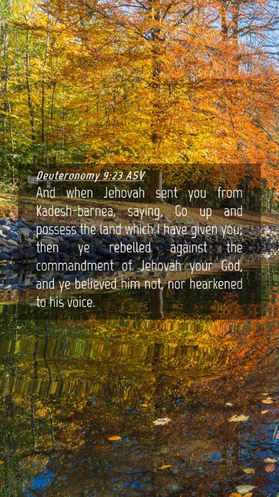 Picture 04 - Deuteronomy 9:23 ASV Mobile Phone Wallpaper - And when Jehovah sent you from Kadesh-barnea, - Mobile Bible Verse Wallpaper