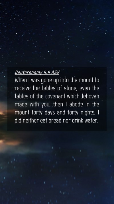 Picture 04 - Deuteronomy 9:9 ASV Mobile Phone Wallpaper - When I was gone up into the mount to receive the - Mobile Bible Verse Wallpaper