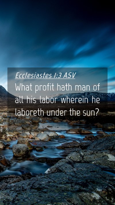 Picture 04 - Ecclesiastes 1:3 ASV Mobile Phone Wallpaper - What profit hath man of all his labor wherein he - Mobile Bible Verse Wallpaper