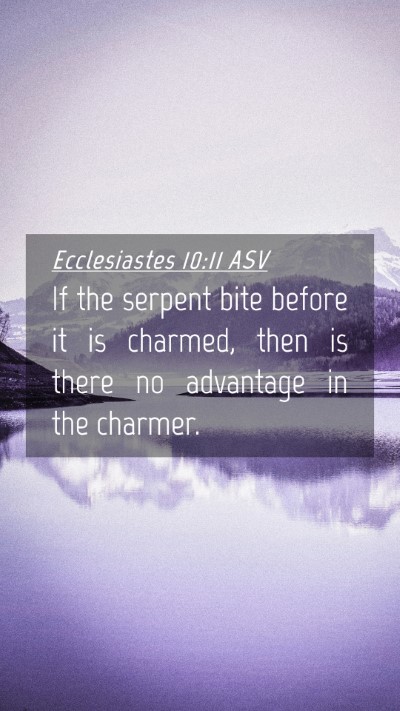 Picture 04 - Ecclesiastes 10:11 ASV Mobile Phone Wallpaper - If the serpent bite before it is charmed, then is - Mobile Bible Verse Wallpaper