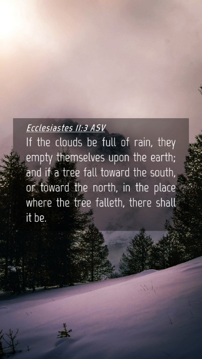 Picture 04 - Ecclesiastes 11:3 ASV Mobile Phone Wallpaper - If the clouds be full of rain, they empty - Mobile Bible Verse Wallpaper