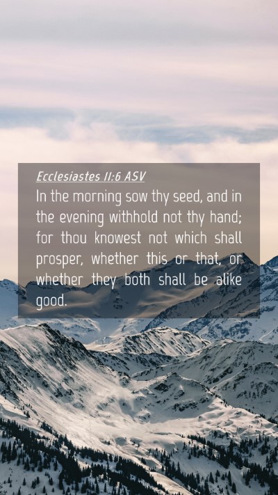 Picture 04 - Ecclesiastes 11:6 ASV Mobile Phone Wallpaper - In the morning sow thy seed, and in the evening - Mobile Bible Verse Wallpaper