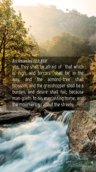 Picture 04 - Ecclesiastes 12:5 ASV Mobile Phone Wallpaper - yea, they shall be afraid of `that which is' - Mobile Bible Verse Wallpaper