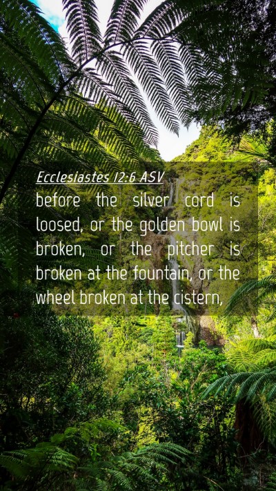 Picture 04 - Ecclesiastes 12:6 ASV Mobile Phone Wallpaper - before the silver cord is loosed, or the golden - Mobile Bible Verse Wallpaper