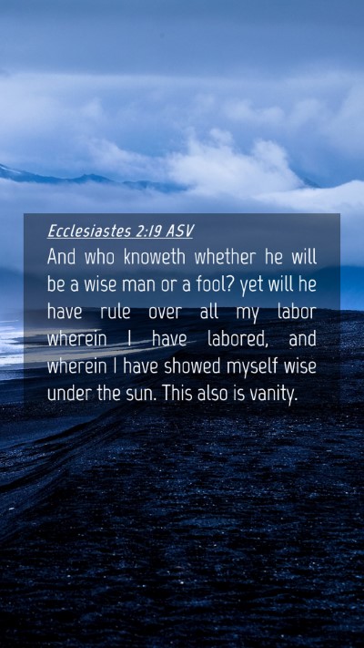 Picture 04 - Ecclesiastes 2:19 ASV Mobile Phone Wallpaper - And who knoweth whether he will be a wise man or - Mobile Bible Verse Wallpaper