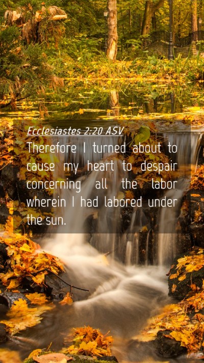 Picture 04 - Ecclesiastes 2:20 ASV Mobile Phone Wallpaper - Therefore I turned about to cause my heart to - Mobile Bible Verse Wallpaper