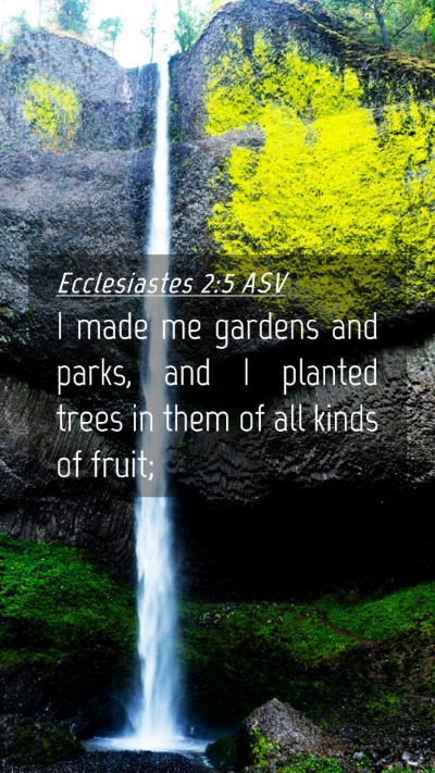 Picture 04 - Ecclesiastes 2:5 ASV Mobile Phone Wallpaper - I made me gardens and parks, and I planted trees - Mobile Bible Verse Wallpaper