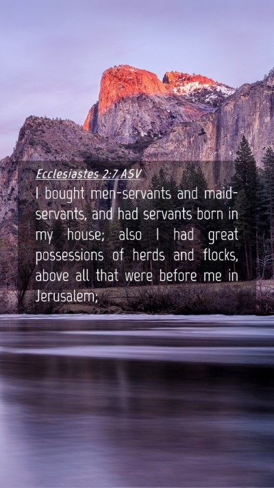 Picture 04 - Ecclesiastes 2:7 ASV Mobile Phone Wallpaper - I bought men-servants and maid-servants, and had - Mobile Bible Verse Wallpaper