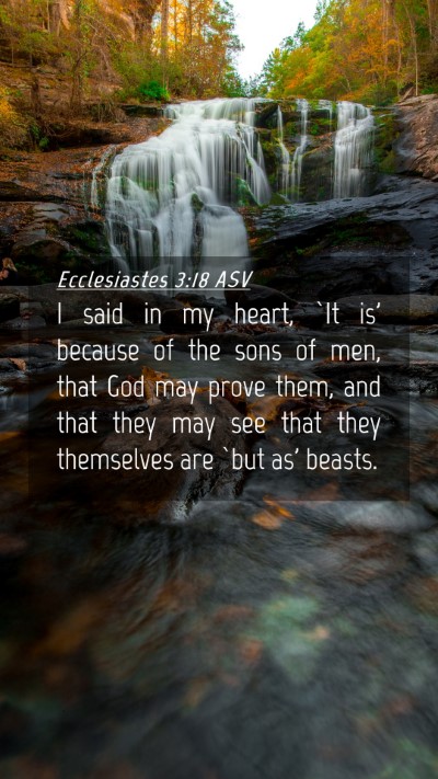 Picture 04 - Ecclesiastes 3:18 ASV Mobile Phone Wallpaper - I said in my heart, `It is' because of the sons - Mobile Bible Verse Wallpaper