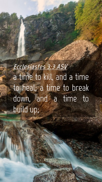 Picture 04 - Ecclesiastes 3:3 ASV Mobile Phone Wallpaper - a time to kill, and a time to heal; a time to - Mobile Bible Verse Wallpaper