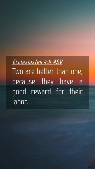 Picture 04 - Ecclesiastes 4:9 ASV Mobile Phone Wallpaper - Two are better than one, because they have a good - Mobile Bible Verse Wallpaper