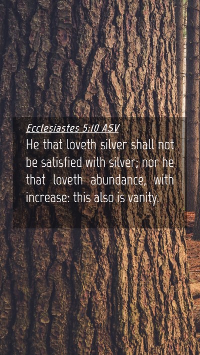 Picture 04 - Ecclesiastes 5:10 ASV Mobile Phone Wallpaper - He that loveth silver shall not be satisfied with - Mobile Bible Verse Wallpaper