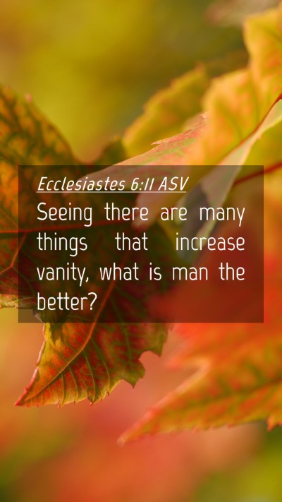 Picture 04 - Ecclesiastes 6:11 ASV Mobile Phone Wallpaper - Seeing there are many things that increase - Mobile Bible Verse Wallpaper