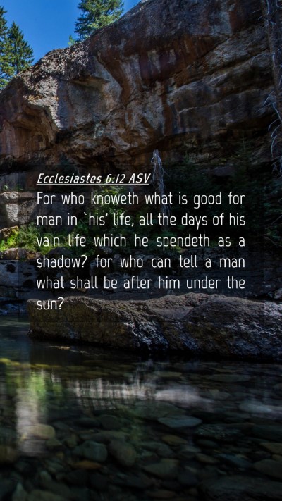 Picture 04 - Ecclesiastes 6:12 ASV Mobile Phone Wallpaper - For who knoweth what is good for man in `his' - Mobile Bible Verse Wallpaper