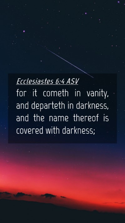 Picture 04 - Ecclesiastes 6:4 ASV Mobile Phone Wallpaper - for it cometh in vanity, and departeth in - Mobile Bible Verse Wallpaper