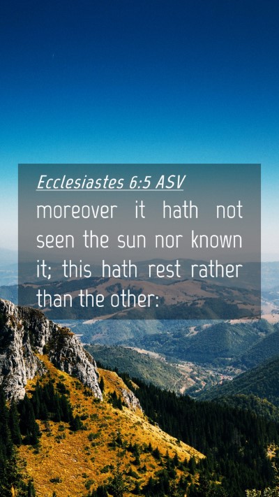 Picture 04 - Ecclesiastes 6:5 ASV Mobile Phone Wallpaper - moreover it hath not seen the sun nor known it; - Mobile Bible Verse Wallpaper