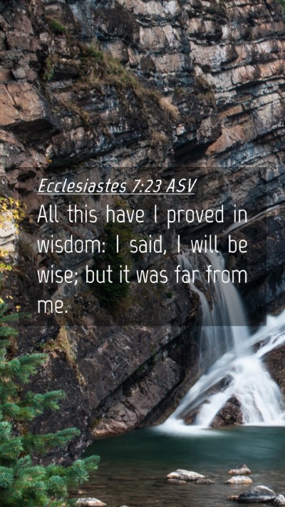 Picture 04 - Ecclesiastes 7:23 ASV Mobile Phone Wallpaper - All this have I proved in wisdom: I said, I will - Mobile Bible Verse Wallpaper