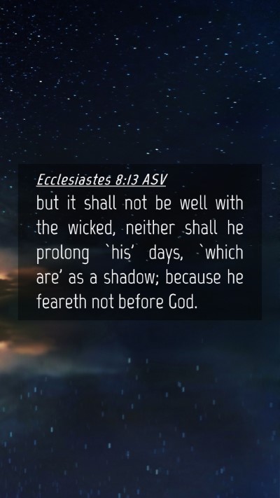 Picture 04 - Ecclesiastes 8:13 ASV Mobile Phone Wallpaper - but it shall not be well with the wicked, neither - Mobile Bible Verse Wallpaper