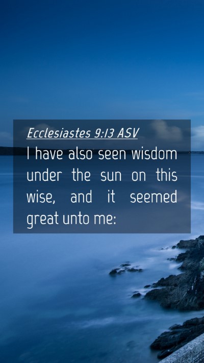 Picture 04 - Ecclesiastes 9:13 ASV Mobile Phone Wallpaper - I have also seen wisdom under the sun on this - Mobile Bible Verse Wallpaper