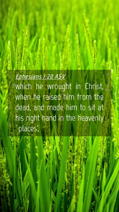 Picture 04 - Ephesians 1:20 ASV Mobile Phone Wallpaper - which he wrought in Christ, when he raised him - Mobile Bible Verse Wallpaper