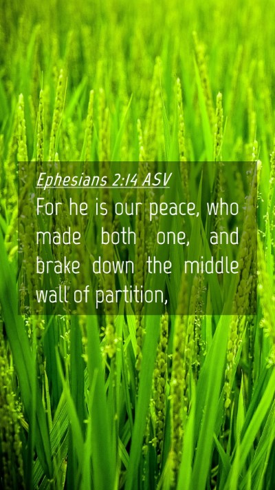 Picture 04 - Ephesians 2:14 ASV Mobile Phone Wallpaper - For he is our peace, who made both one, and brake - Mobile Bible Verse Wallpaper