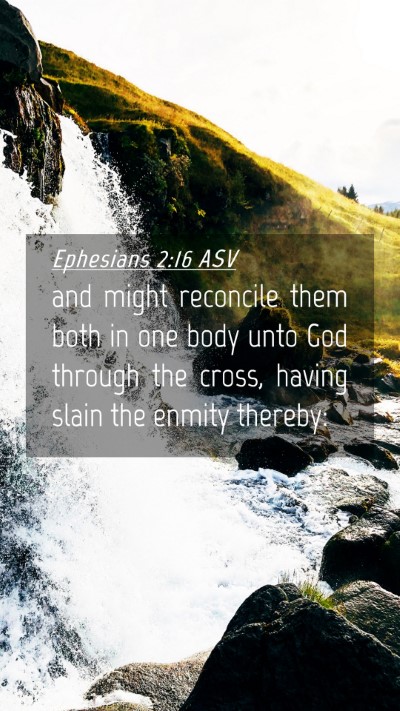 Picture 04 - Ephesians 2:16 ASV Mobile Phone Wallpaper - and might reconcile them both in one body unto - Mobile Bible Verse Wallpaper