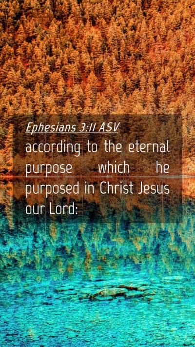 Picture 04 - Ephesians 3:11 ASV Mobile Phone Wallpaper - according to the eternal purpose which he - Mobile Bible Verse Wallpaper