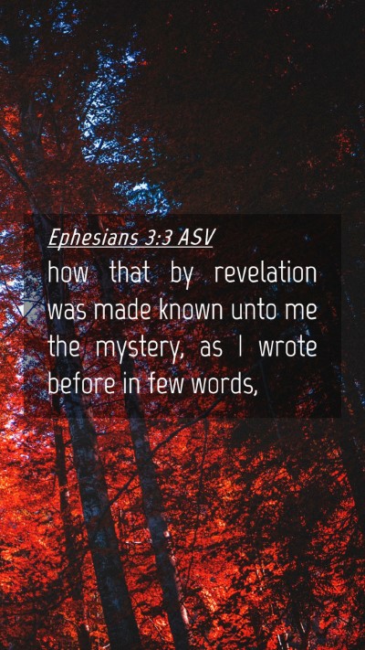 Picture 04 - Ephesians 3:3 ASV Mobile Phone Wallpaper - how that by revelation was made known unto me the - Mobile Bible Verse Wallpaper