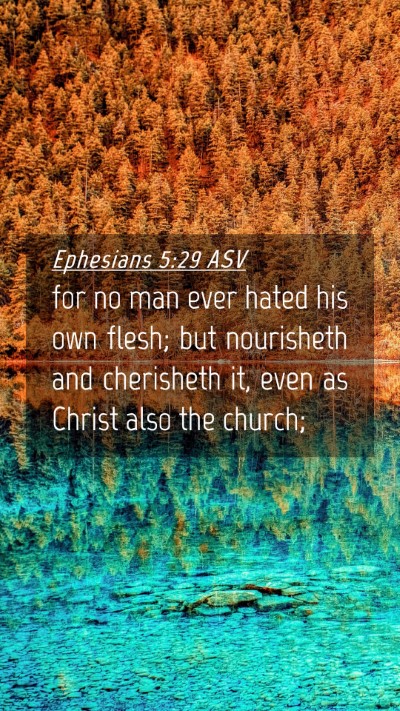 Picture 04 - Ephesians 5:29 ASV Mobile Phone Wallpaper - for no man ever hated his own flesh; but - Mobile Bible Verse Wallpaper