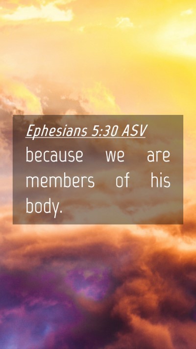 Picture 04 - Ephesians 5:30 ASV Mobile Phone Wallpaper - because we are members of his - Mobile Bible Verse Wallpaper