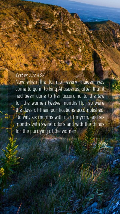 Picture 04 - Esther 2:12 ASV Mobile Phone Wallpaper - Now when the turn of every maiden was come to go - Mobile Bible Verse Wallpaper