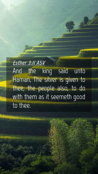 Picture 04 - Esther 3:11 ASV Mobile Phone Wallpaper - And the king said unto Haman, The silver is given - Mobile Bible Verse Wallpaper