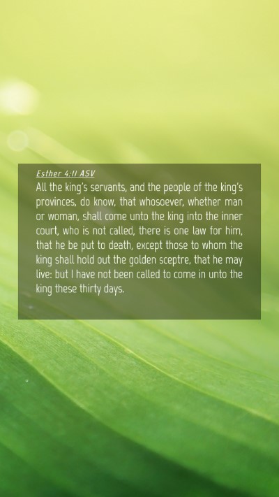 Picture 04 - Esther 4:11 ASV Mobile Phone Wallpaper - All the king's servants, and the people of the - Mobile Bible Verse Wallpaper