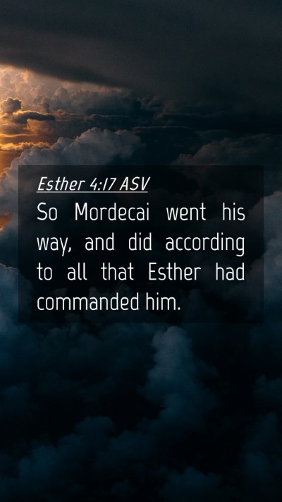 Picture 04 - Esther 4:17 ASV Mobile Phone Wallpaper - So Mordecai went his way, and did according to - Mobile Bible Verse Wallpaper
