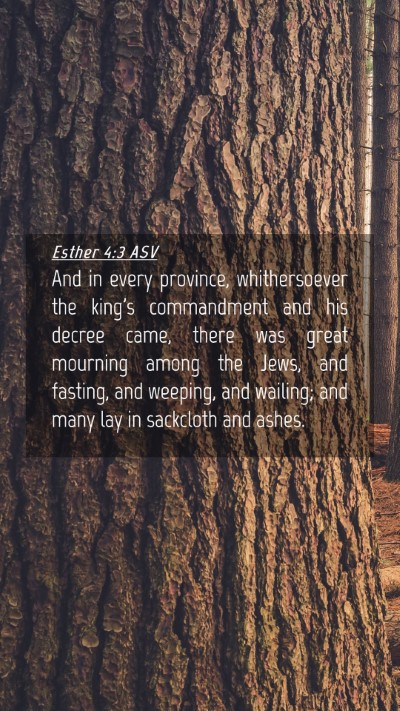 Picture 04 - Esther 4:3 ASV Mobile Phone Wallpaper - And in every province, whithersoever the king's - Mobile Bible Verse Wallpaper