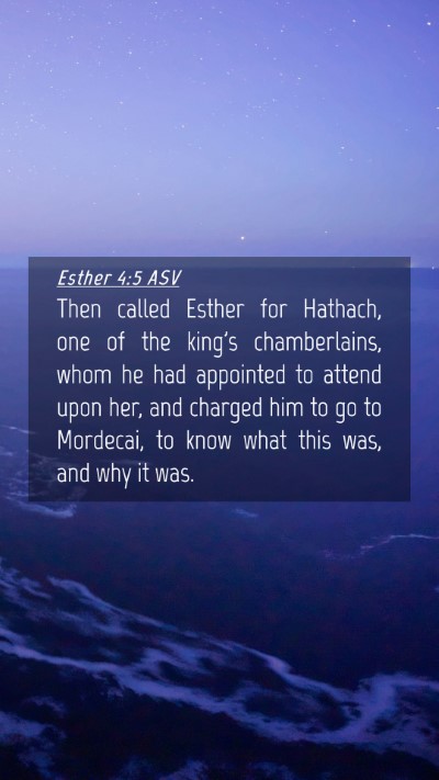 Picture 04 - Esther 4:5 ASV Mobile Phone Wallpaper - Then called Esther for Hathach, one of the king's - Mobile Bible Verse Wallpaper