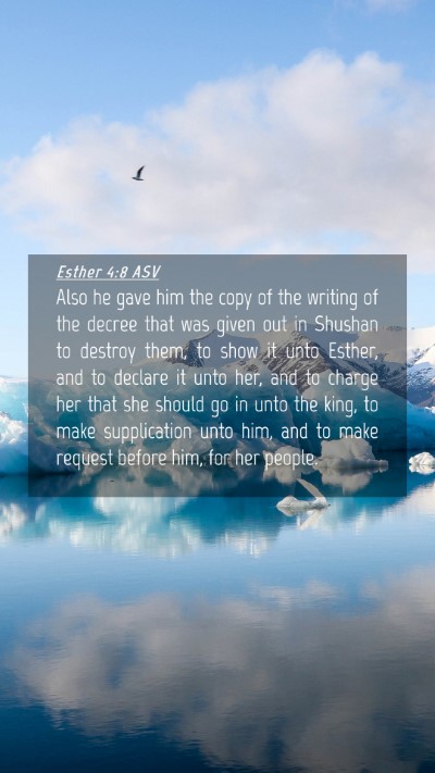 Picture 04 - Esther 4:8 ASV Mobile Phone Wallpaper - Also he gave him the copy of the writing of the - Mobile Bible Verse Wallpaper