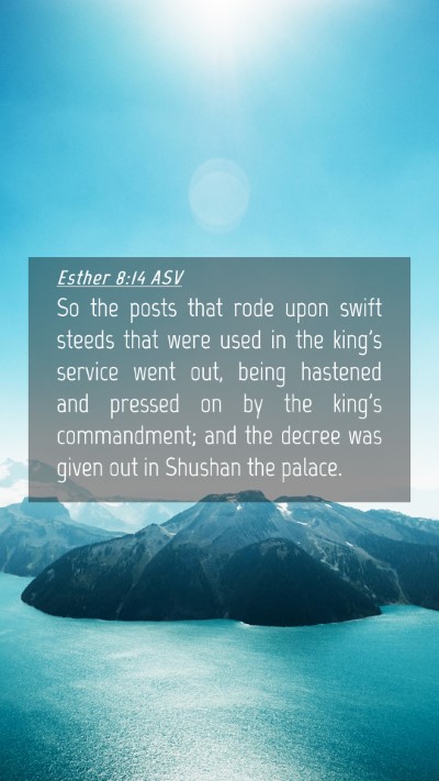 Picture 04 - Esther 8:14 ASV Mobile Phone Wallpaper - So the posts that rode upon swift steeds that - Mobile Bible Verse Wallpaper