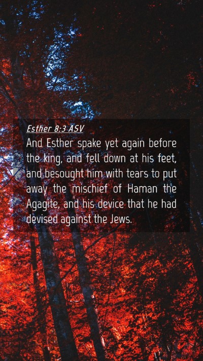 Picture 04 - Esther 8:3 ASV Mobile Phone Wallpaper - And Esther spake yet again before the king, and - Mobile Bible Verse Wallpaper