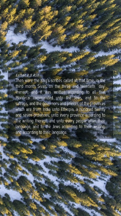 Picture 04 - Esther 8:9 ASV Mobile Phone Wallpaper - Then were the king's scribes called at that time, - Mobile Bible Verse Wallpaper