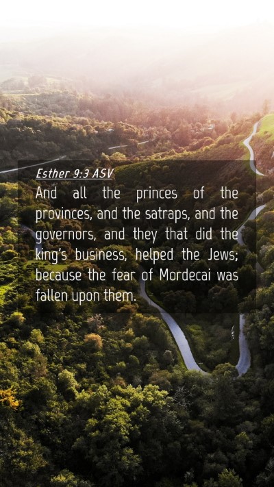 Picture 04 - Esther 9:3 ASV Mobile Phone Wallpaper - And all the princes of the provinces, and the - Mobile Bible Verse Wallpaper
