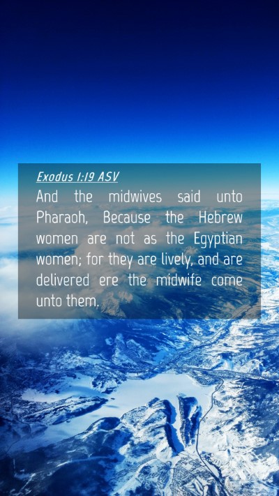 Picture 04 - Exodus 1:19 ASV Mobile Phone Wallpaper - And the midwives said unto Pharaoh, Because the - Mobile Bible Verse Wallpaper