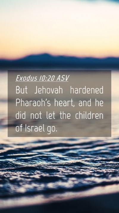 Picture 04 - Exodus 10:20 ASV Mobile Phone Wallpaper - But Jehovah hardened Pharaoh's heart, and he did - Mobile Bible Verse Wallpaper