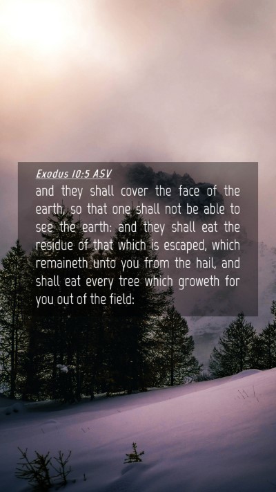 Picture 04 - Exodus 10:5 ASV Mobile Phone Wallpaper - and they shall cover the face of the earth, so - Mobile Bible Verse Wallpaper