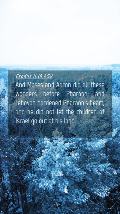 Picture 04 - Exodus 11:10 ASV Mobile Phone Wallpaper - And Moses and Aaron did all these wonders before - Mobile Bible Verse Wallpaper