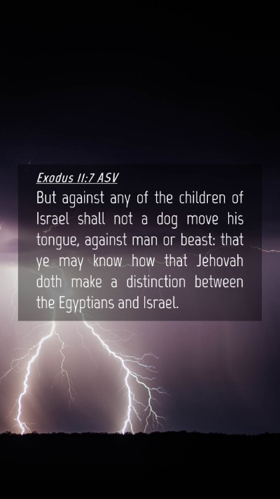 Picture 04 - Exodus 11:7 ASV Mobile Phone Wallpaper - But against any of the children of Israel shall - Mobile Bible Verse Wallpaper